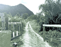 ที่ดินว่างเปล่าหลุดจำนอง ธ.ธนาคารกสิกรไทย ทุ่งนุ้ย ควนกาหลง สตูล